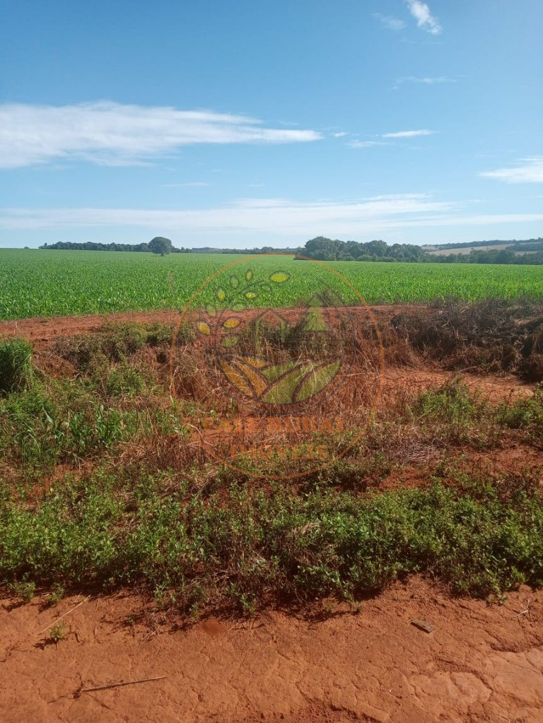 Fazenda à venda - Foto 8