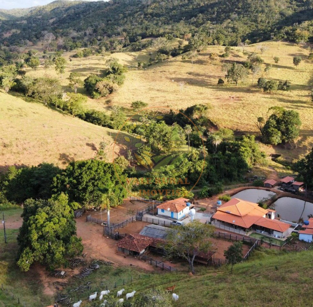 Fazenda à venda - Foto 6