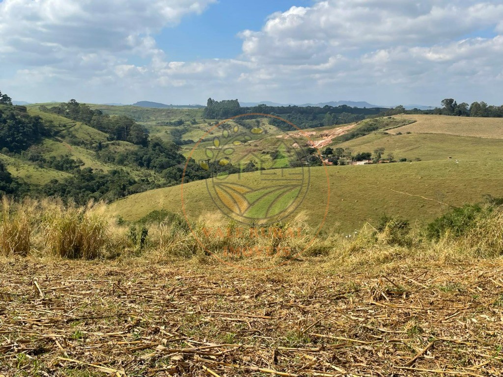 Fazenda à venda com 2 quartos - Foto 32