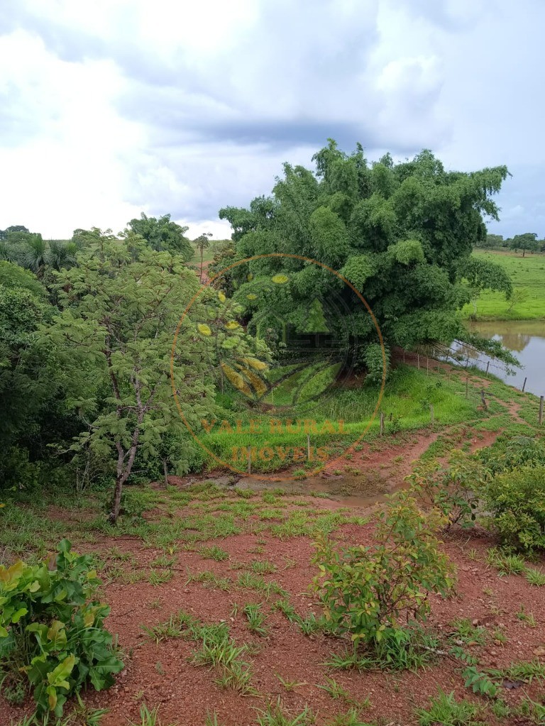 Fazenda à venda - Foto 23