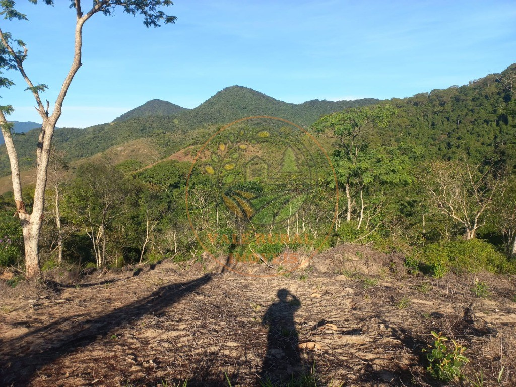 Fazenda à venda - Foto 4