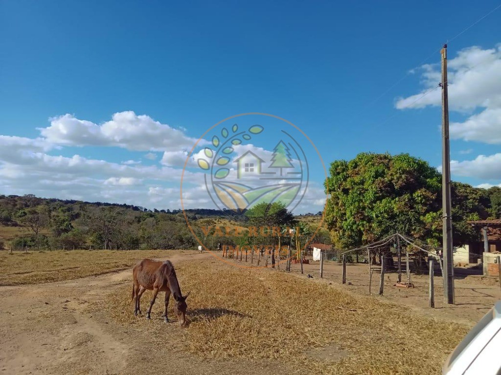 Fazenda à venda - Foto 12