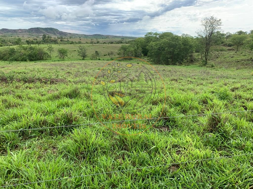 Fazenda à venda com 3 quartos, 306m² - Foto 12