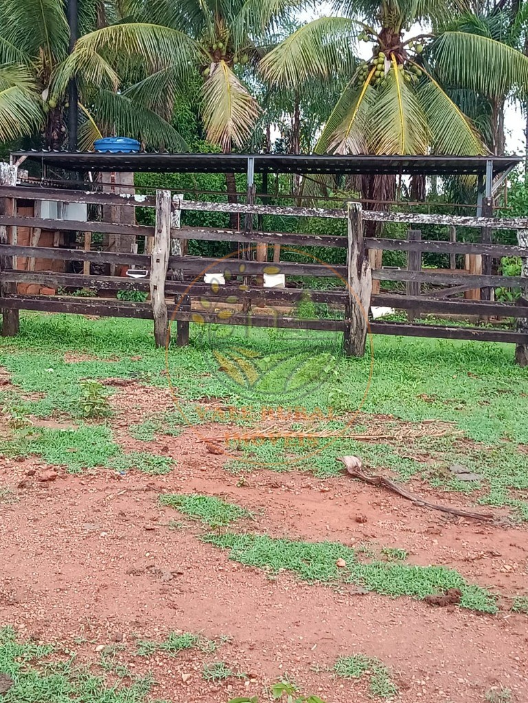 Fazenda à venda - Foto 15