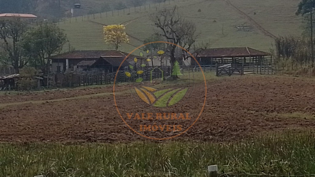 Haras e Área Rural Padrão à venda - Foto 7