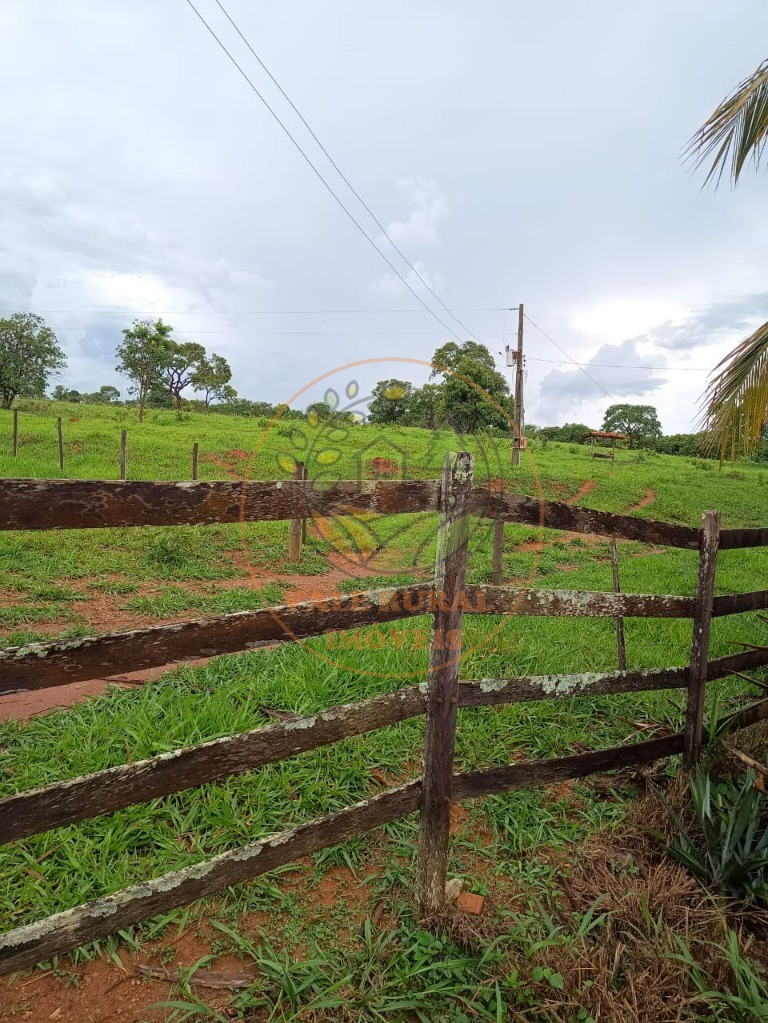 Fazenda à venda - Foto 8