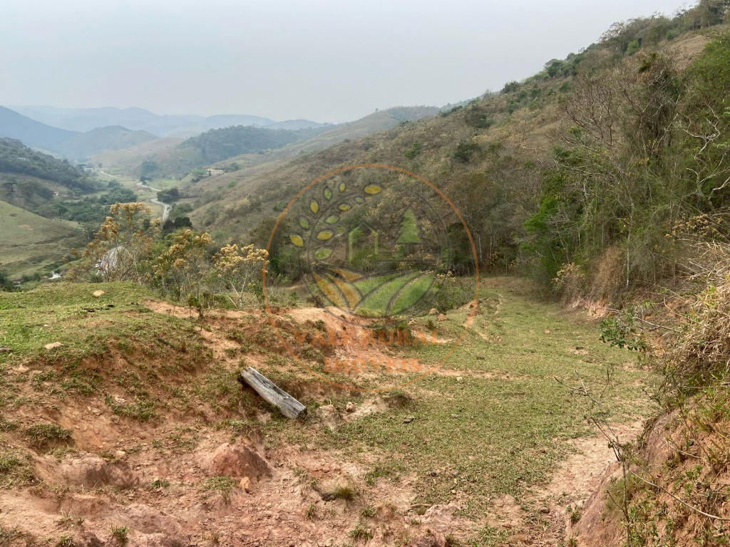 Haras e Área Rural Padrão à venda - Foto 6