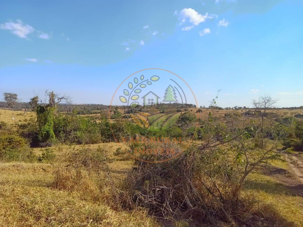 Fazenda à venda - Foto 6