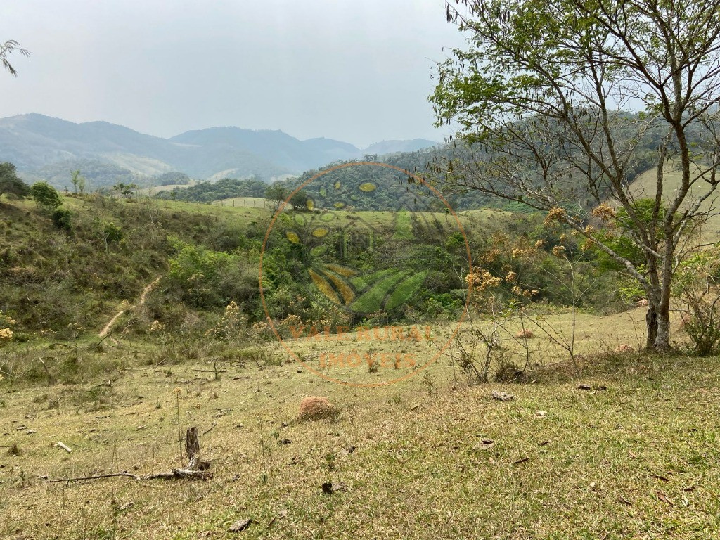 Haras e Área Rural Padrão à venda - Foto 2