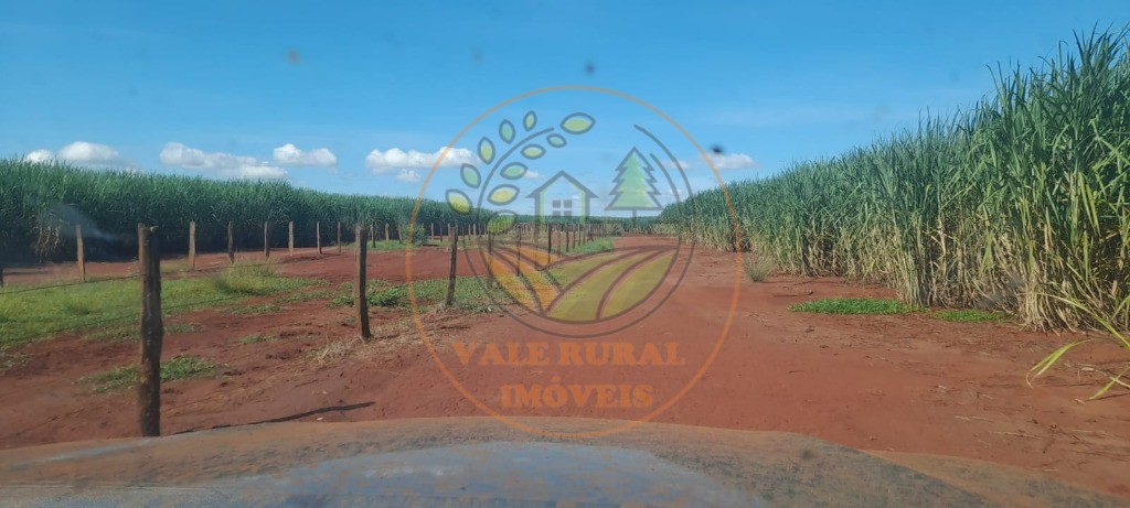 Fazenda à venda - Foto 18