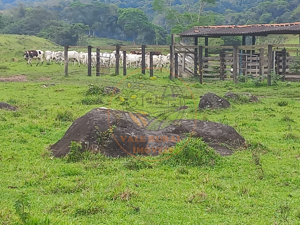 Fazenda à venda - Foto 7