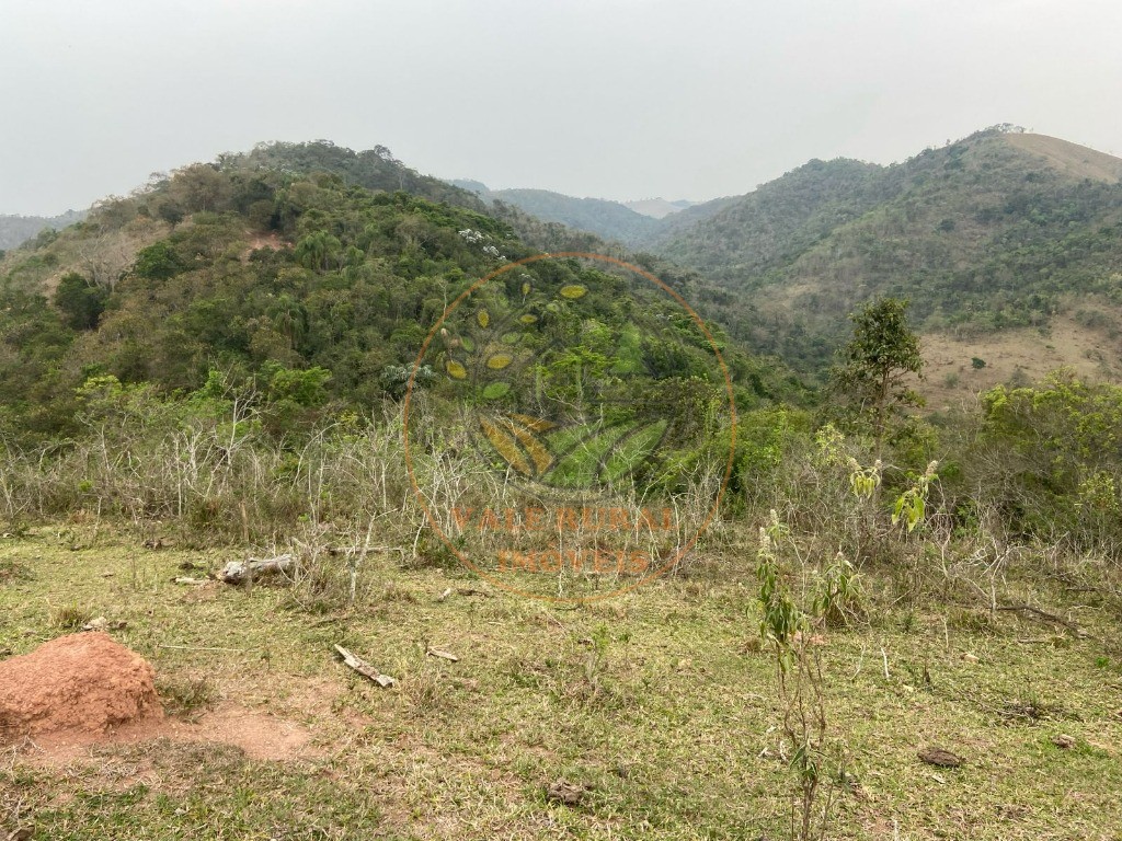 Haras e Área Rural Padrão à venda - Foto 10