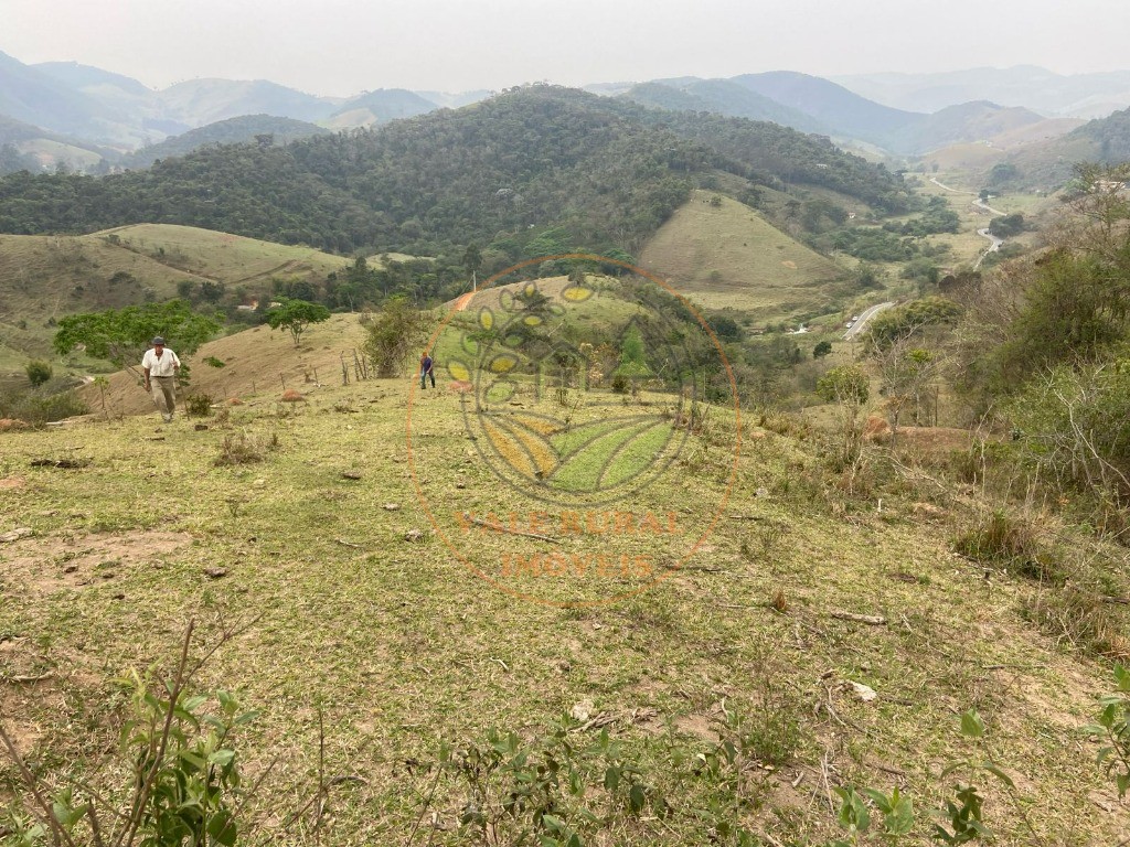 Haras e Área Rural Padrão à venda - Foto 8