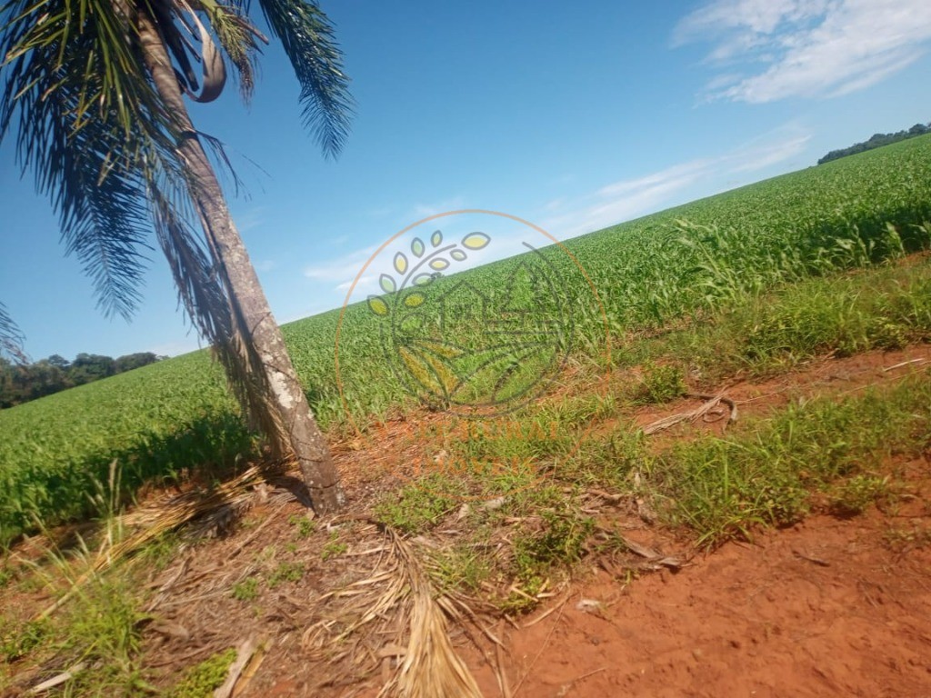 Fazenda à venda - Foto 14