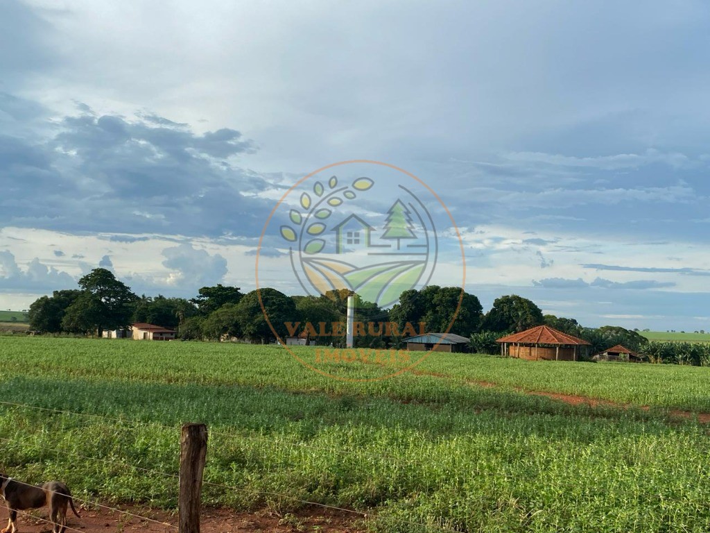 Fazenda à venda - Foto 10