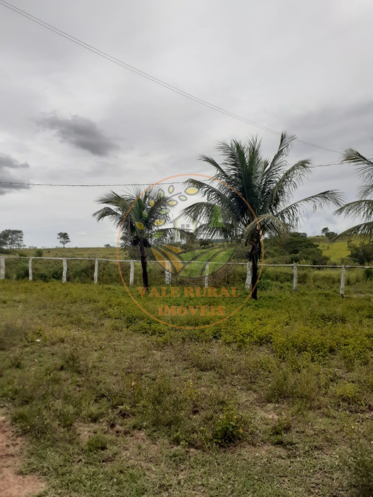 Fazenda à venda com 3 quartos, 306m² - Foto 22