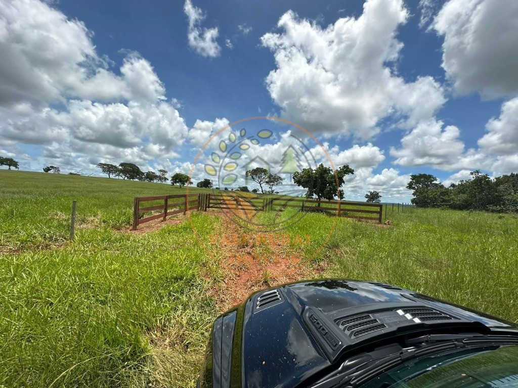 Fazenda à venda - Foto 7