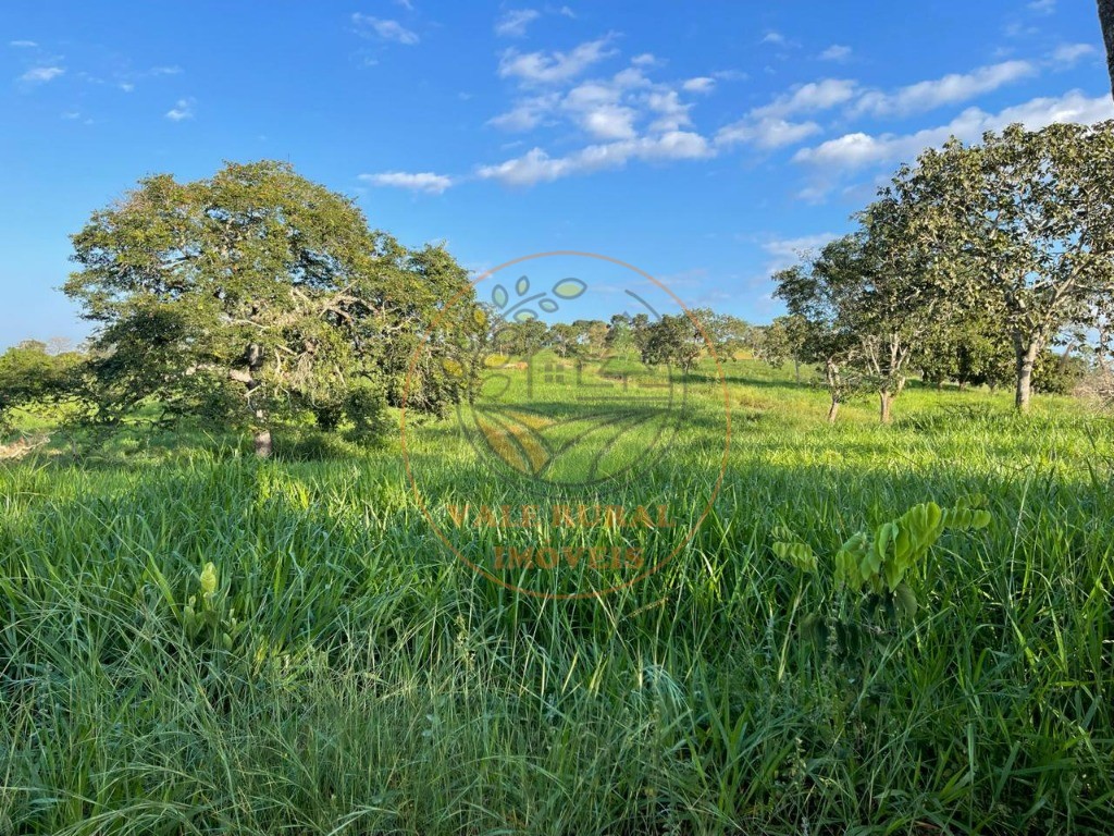 Fazenda à venda - Foto 9