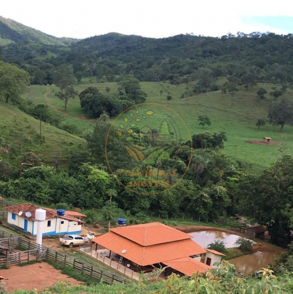 Fazenda à venda - Foto 5