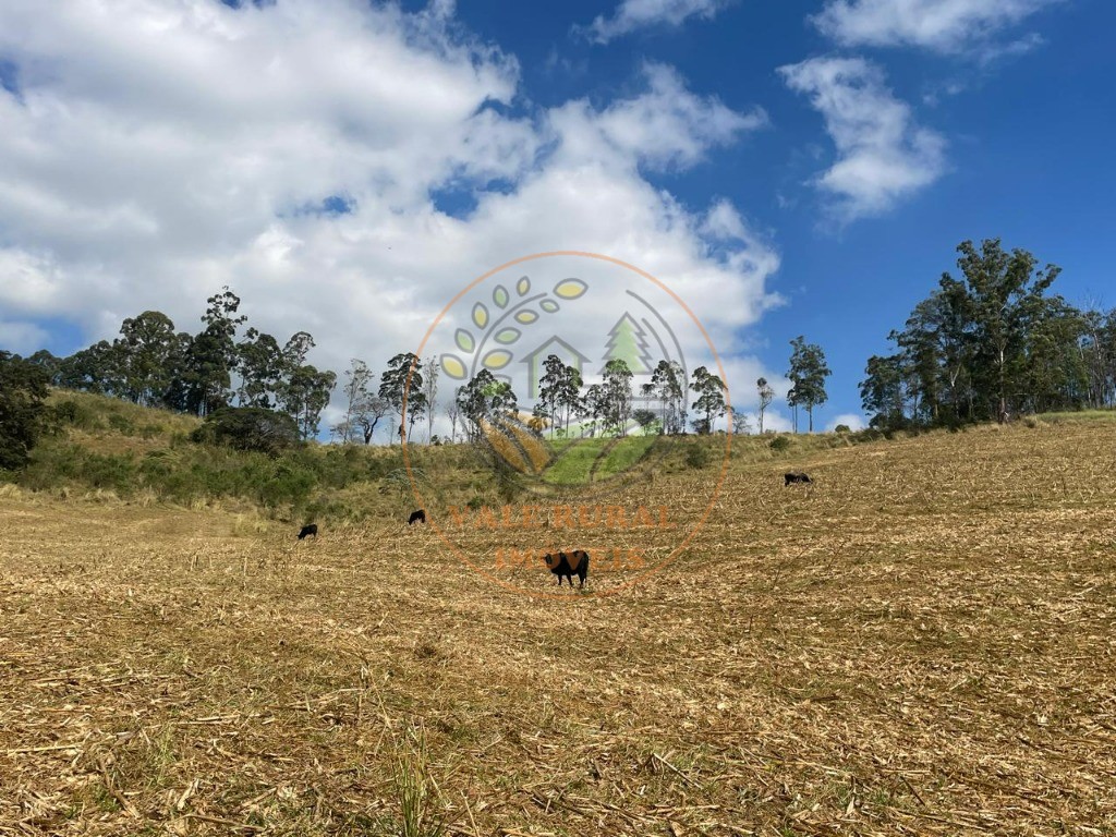 Fazenda à venda com 2 quartos - Foto 22