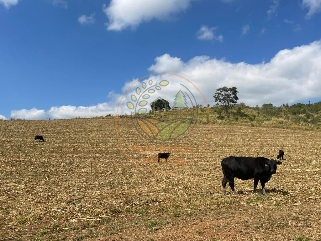 Fazenda à venda com 2 quartos - Foto 19