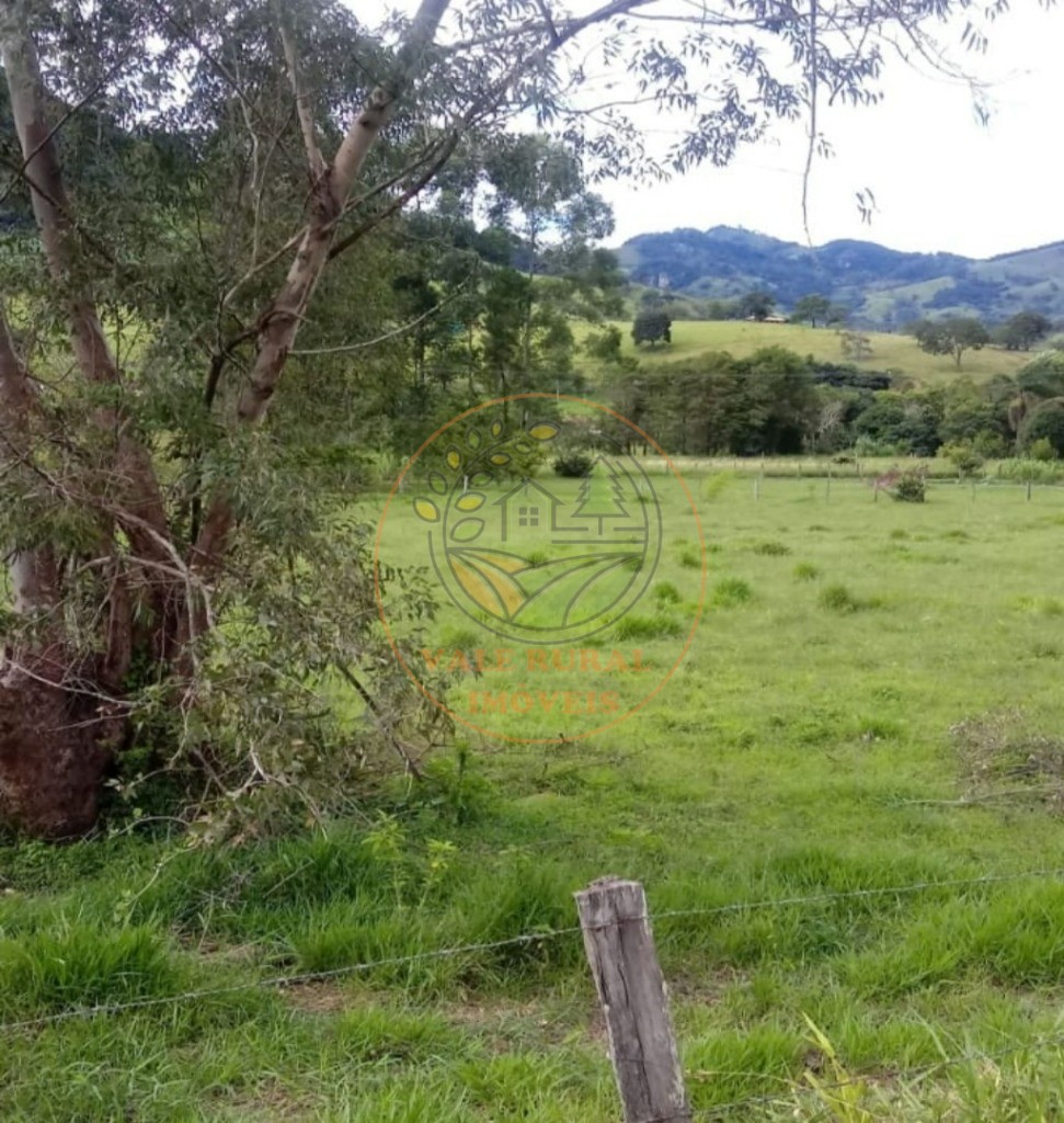 Haras e Área Rural Padrão à venda, 2625m² - Foto 3