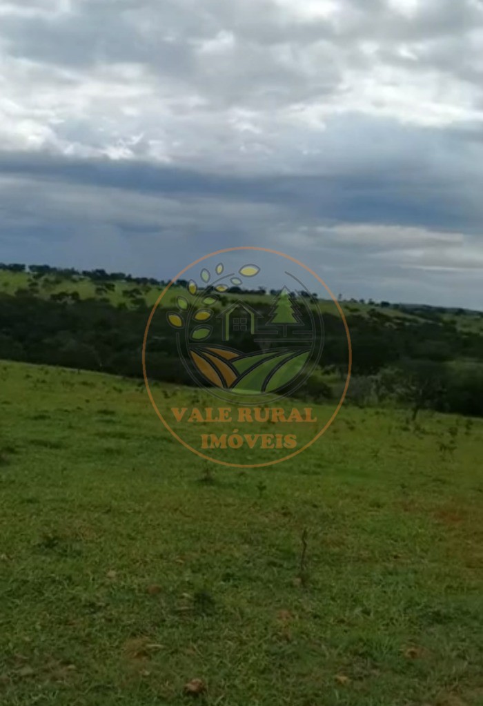 Fazenda à venda - Foto 3