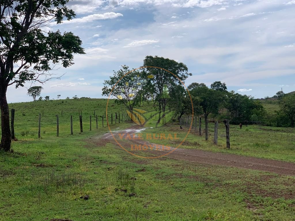 Fazenda à venda com 3 quartos, 306m² - Foto 19