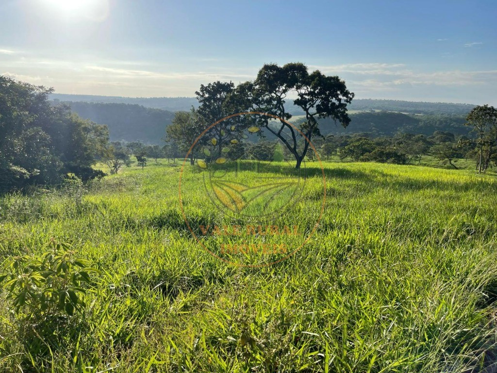 Fazenda à venda - Foto 5