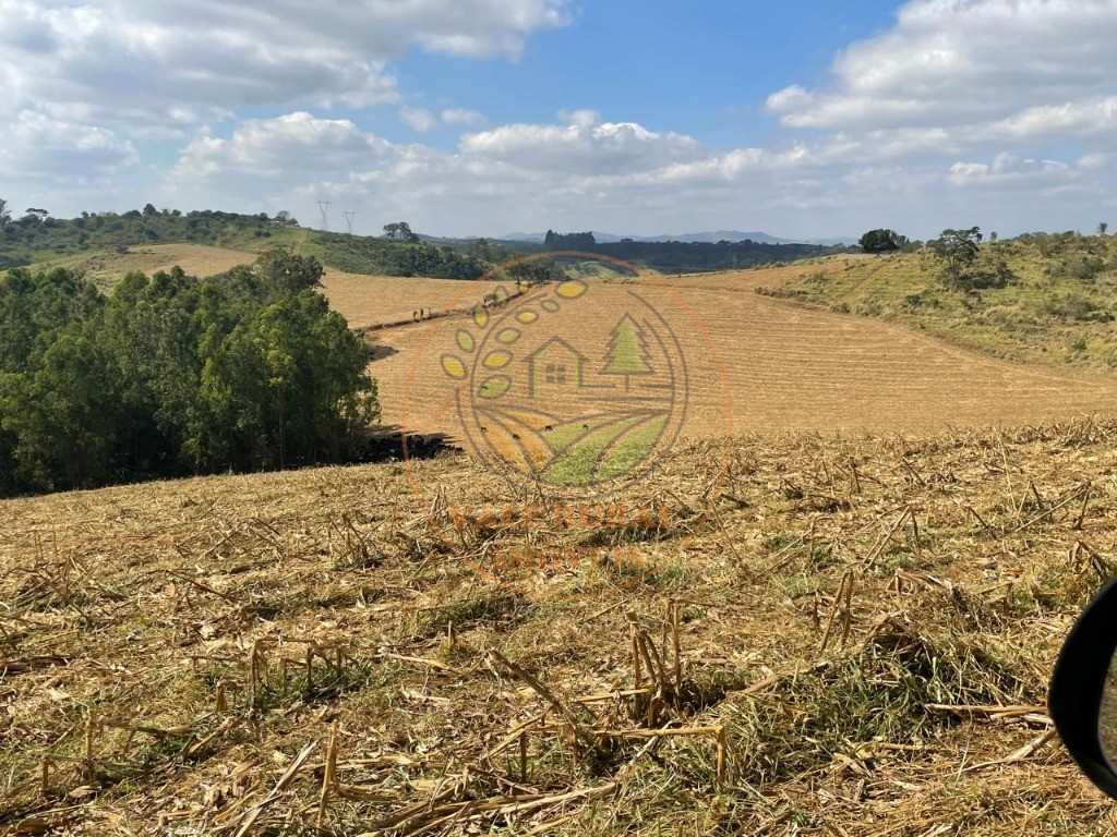 Fazenda à venda com 2 quartos - Foto 6