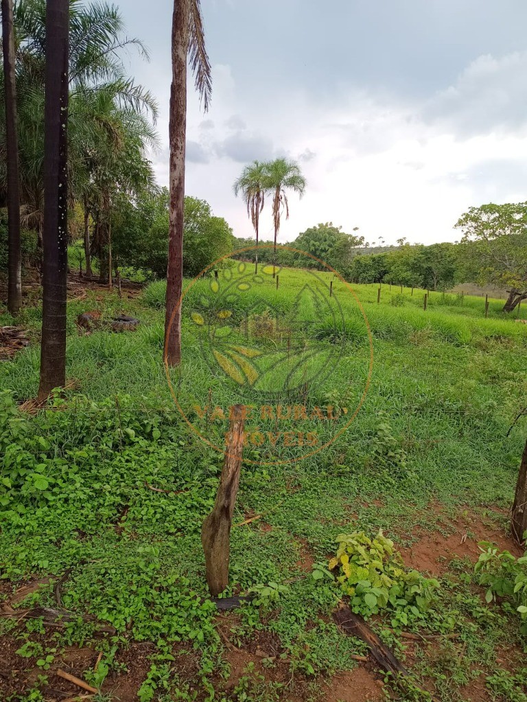 Fazenda à venda - Foto 16