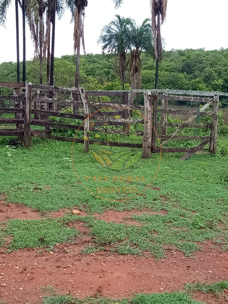 Fazenda à venda - Foto 12