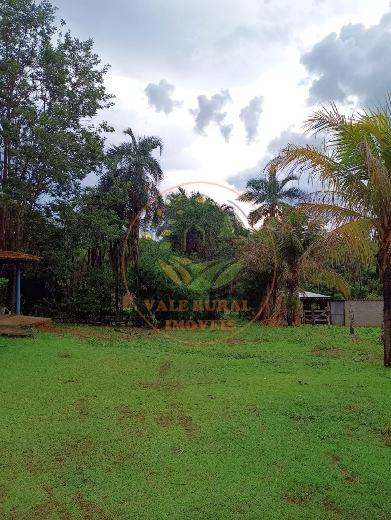 Fazenda à venda - Foto 6