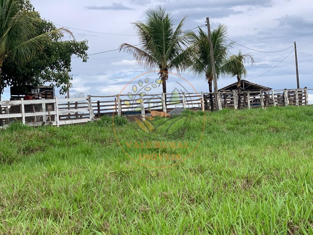 Fazenda à venda com 3 quartos, 306m² - Foto 6