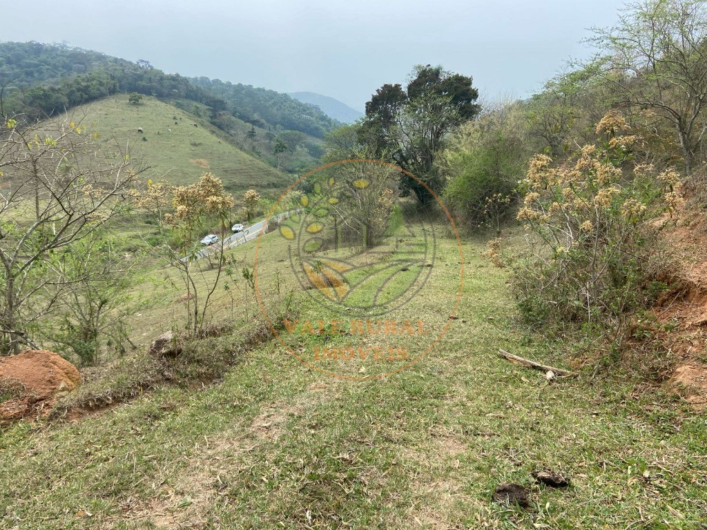 Haras e Área Rural Padrão à venda - Foto 3