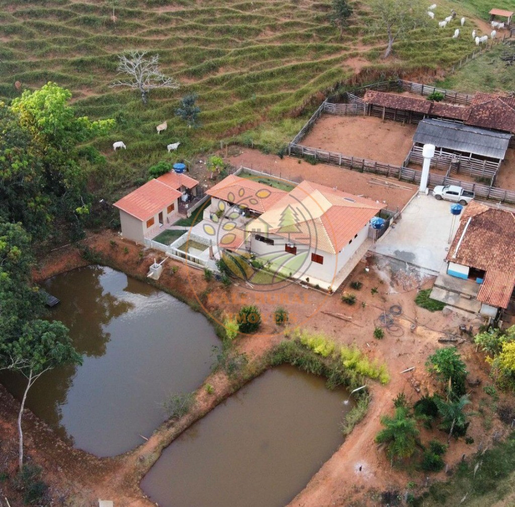 Fazenda à venda - Foto 8