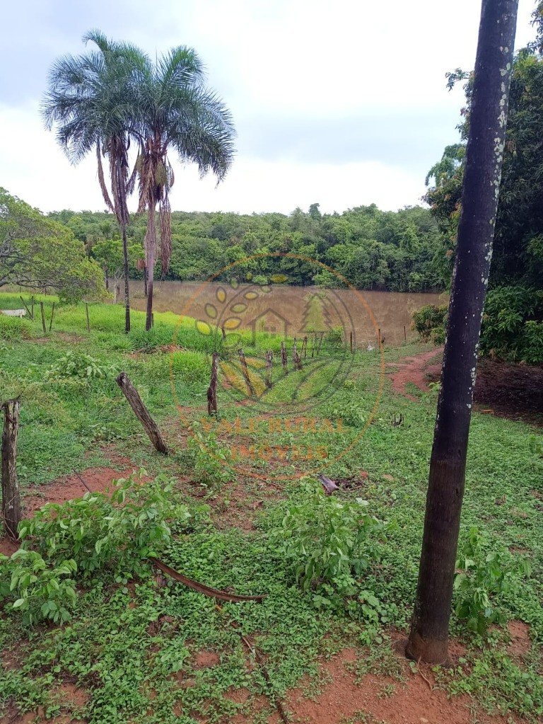 Fazenda à venda - Foto 17