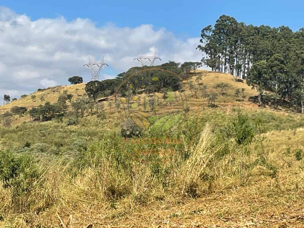 Fazenda à venda com 2 quartos - Foto 11