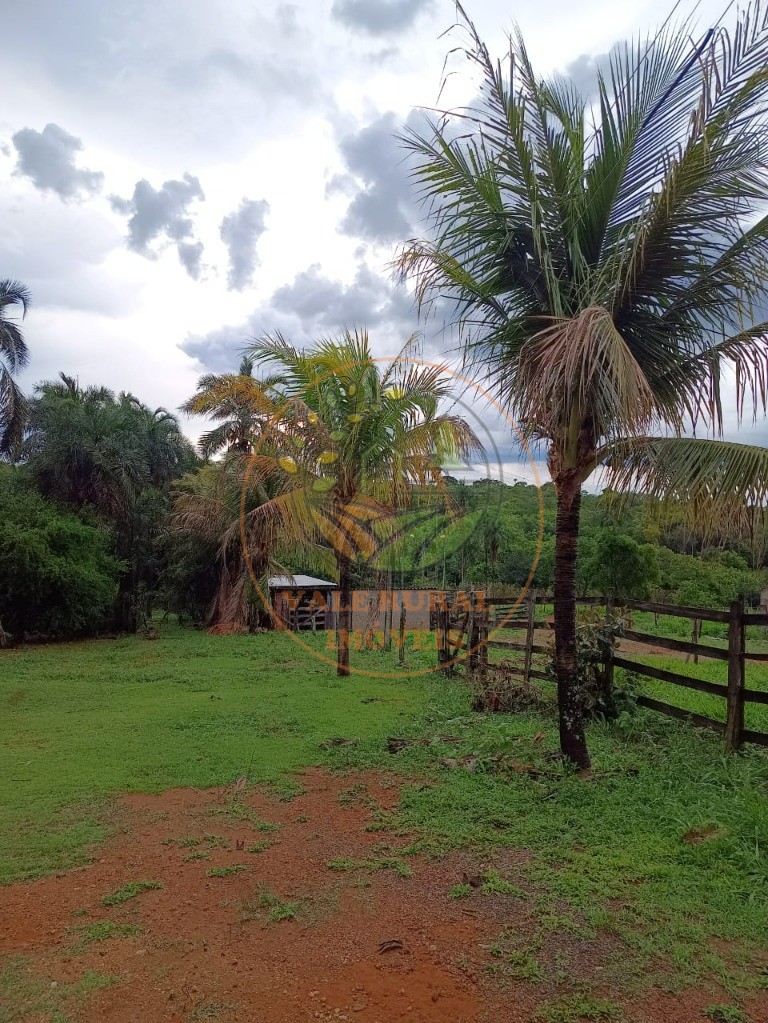 Fazenda à venda - Foto 3