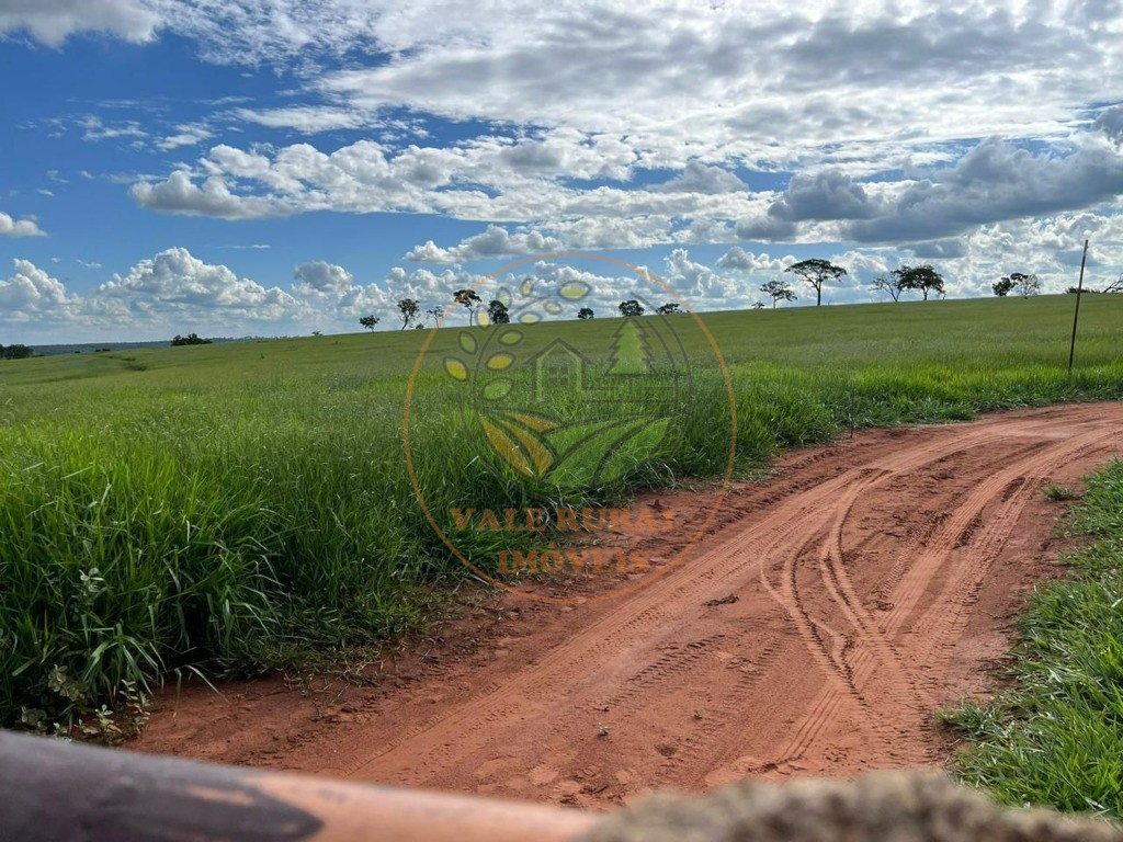 Fazenda à venda - Foto 8