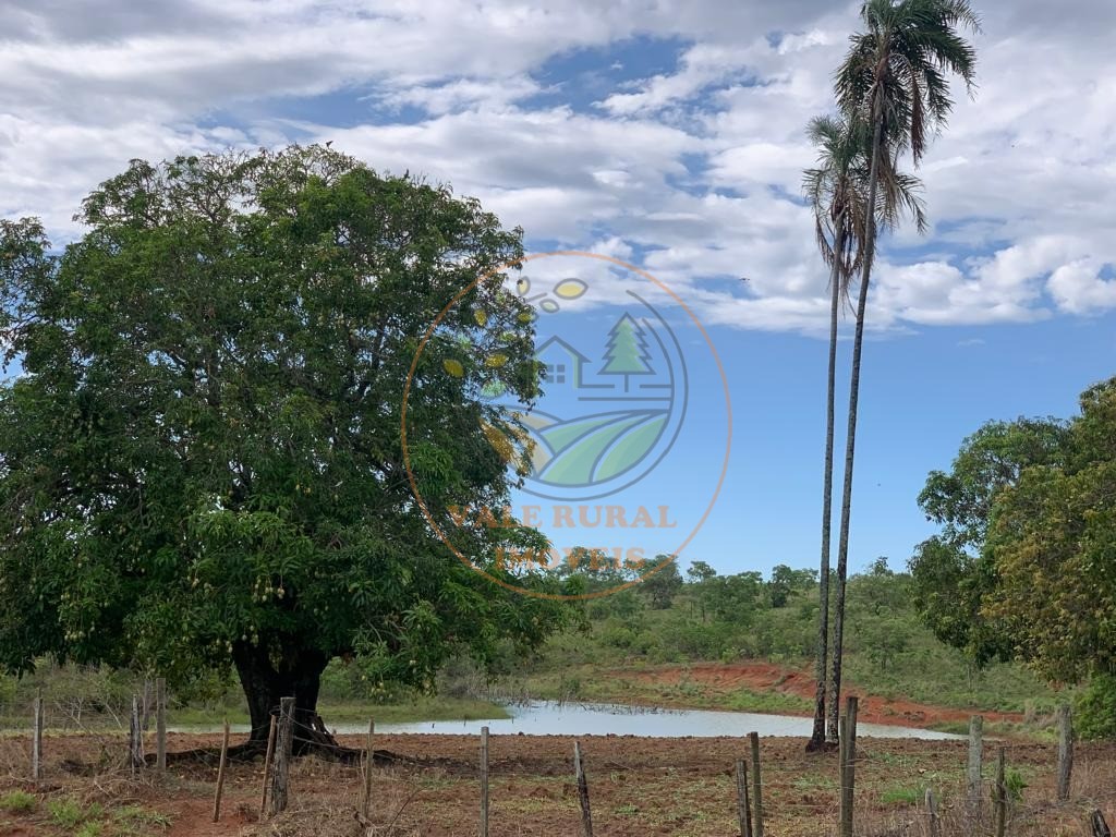 Fazenda à venda com 3 quartos, 306m² - Foto 13