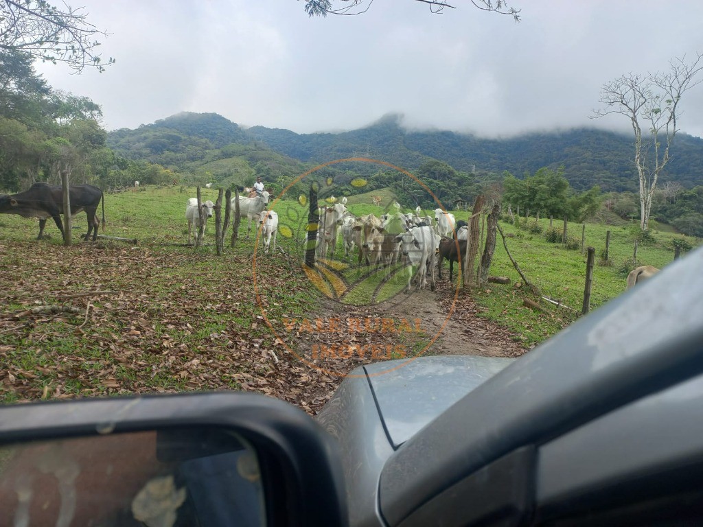 Fazenda à venda - Foto 9