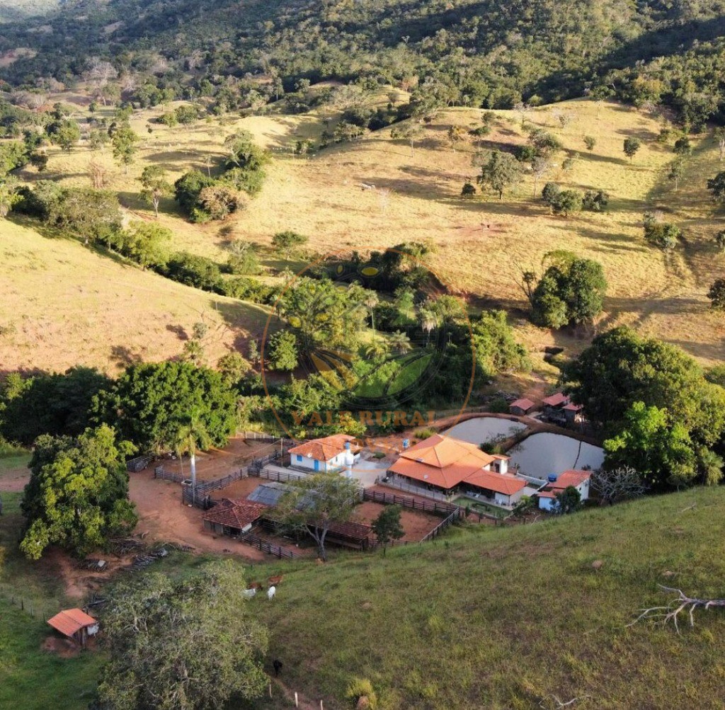 Fazenda à venda - Foto 7