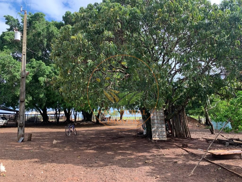 Fazenda à venda com 3 quartos, 306m² - Foto 11