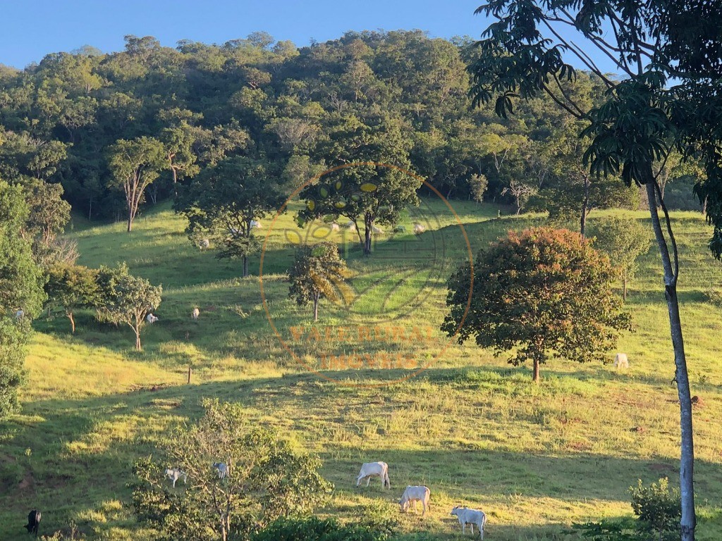 Fazenda à venda - Foto 17