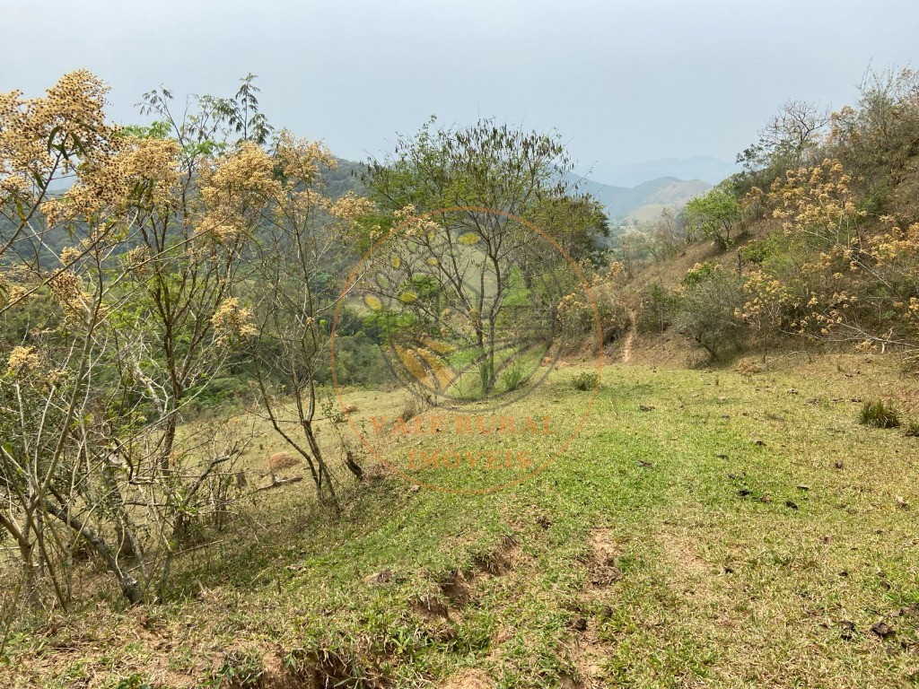 Haras e Área Rural Padrão à venda - Foto 21