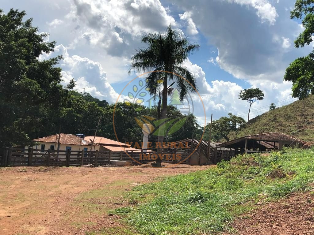 Fazenda à venda - Foto 10