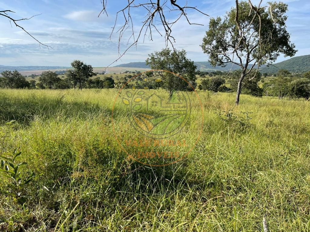 Fazenda à venda - Foto 6