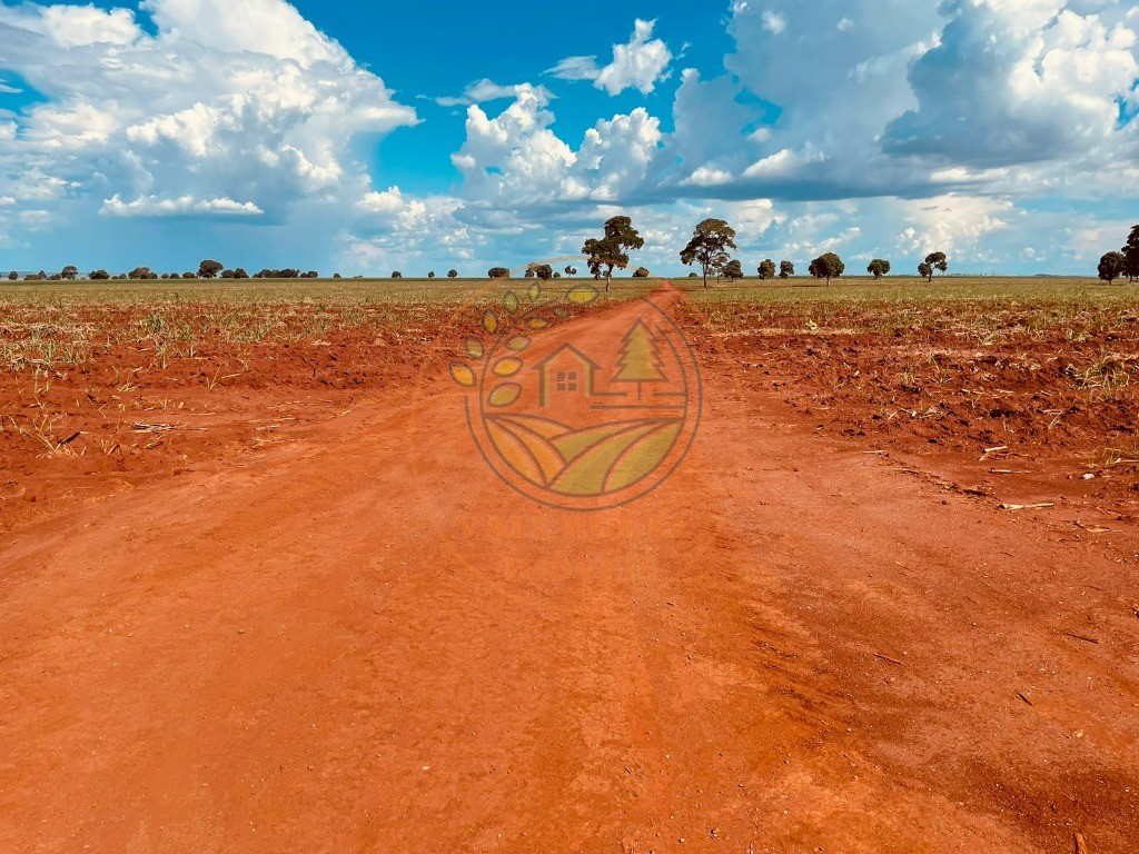 Fazenda à venda - Foto 8