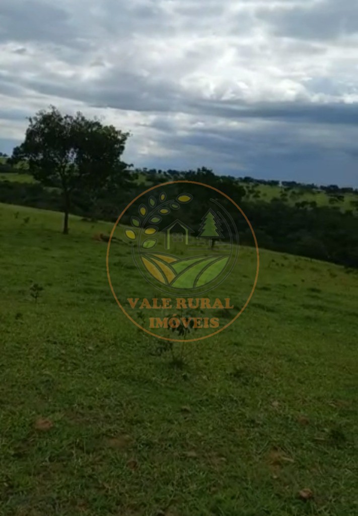 Fazenda à venda - Foto 6